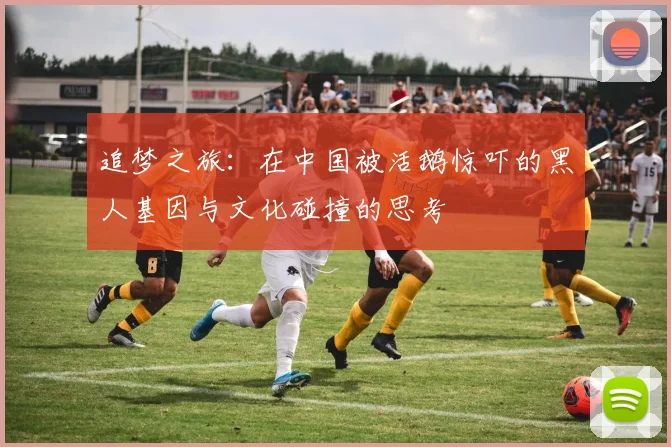 追梦之旅:在中国被活鹅惊吓的黑人基因与文化碰撞的思考