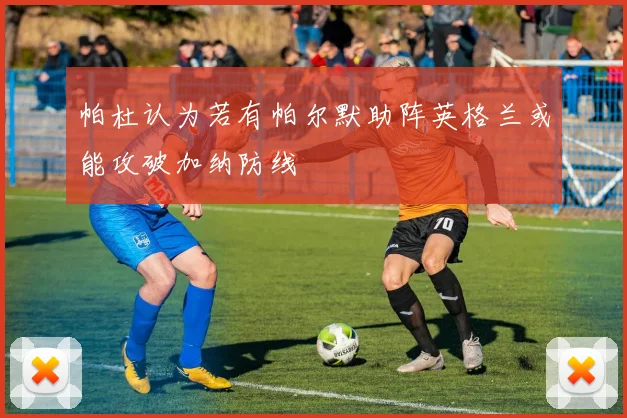 帕杜认为若有帕尔默助阵英格兰或能攻破加纳防线