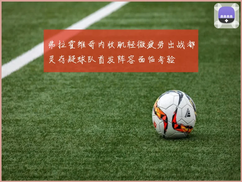弗拉霍维奇内收肌轻微疲劳出战都灵存疑球队首发阵容面临考验