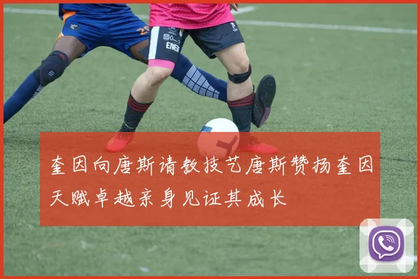 奎因向唐斯请教技艺唐斯赞扬奎因天赋卓越亲身见证其成长